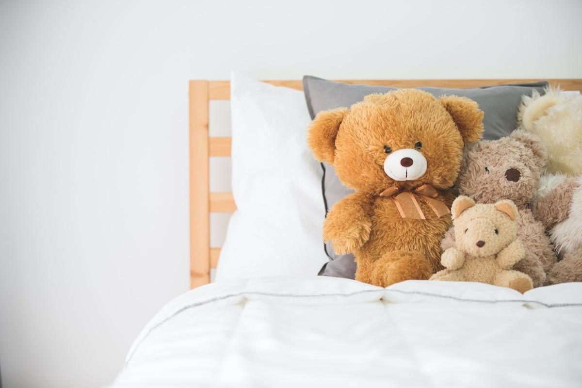 Beanie Baby Appraisal Guide (How To Price Your Beanie Babies)